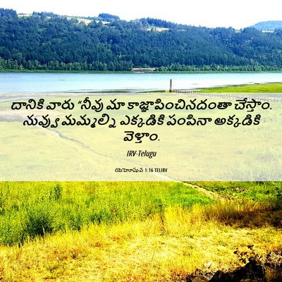 Picture 06 - యెహోషువ 1:16 TELIRV - దానికి వారు “నీవు - Bible Verse Picture
