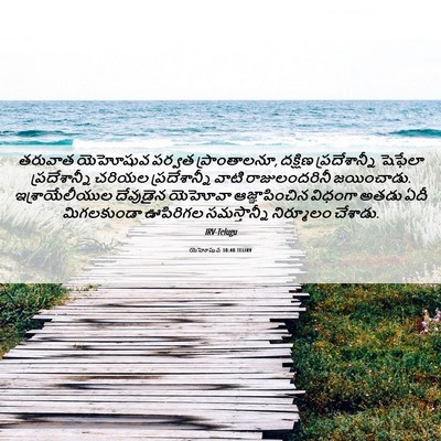 Picture 06 - యెహోషువ 10:40 TELIRV - తరువాత యెహోషువ - Bible Verse Picture