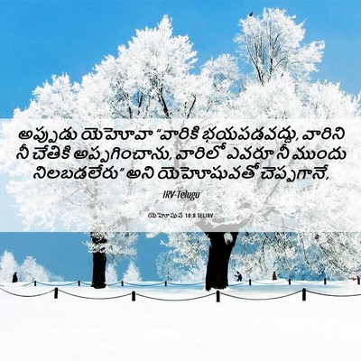 Picture 06 - యెహోషువ 10:8 TELIRV - అప్పుడు యెహోవా - Bible Verse Picture