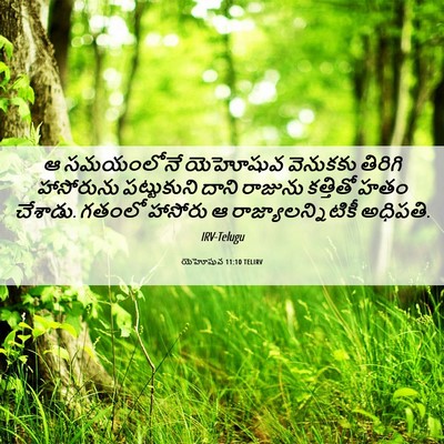 Picture 06 - యెహోషువ 11:10 TELIRV - ఆ సమయంలోనే - Bible Verse Picture