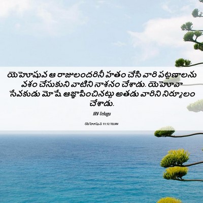 Picture 06 - యెహోషువ 11:12 TELIRV - యెహోషువ ఆ - Bible Verse Picture