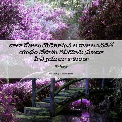 Picture 06 - యెహోషువ 11:18 TELIRV - చాలా రోజులు - Bible Verse Picture