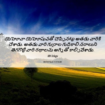 Picture 06 - యెహోషువ 11:9 TELIRV - యెహోవా యెహోషువతో - Bible Verse Picture