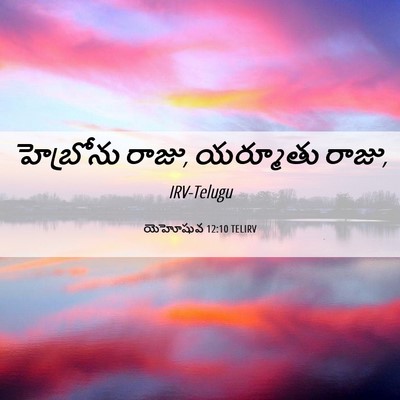 Picture 06 - యెహోషువ 12:10 TELIRV - హెబ్రోను రాజు, - Bible Verse Picture