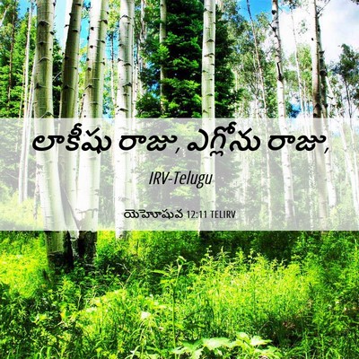 Picture 06 - యెహోషువ 12:11 TELIRV - లాకీషు రాజు, - Bible Verse Picture