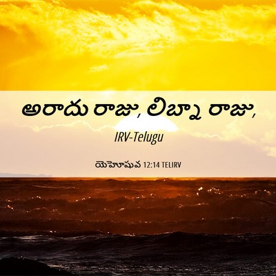 Picture 06 - యెహోషువ 12:14 TELIRV - అరాదు రాజు, లిబ్నా - Bible Verse Picture