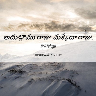 Picture 06 - యెహోషువ 12:15 TELIRV - అదుల్లాము రాజు, - Bible Verse Picture