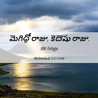 Picture 06 - యెహోషువ 12:21 TELIRV - మెగిద్దో రాజు, - Bible Verse Picture