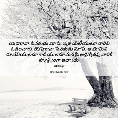 Picture 06 - యెహోషువ 12:6 TELIRV - యెహోవా సేవకుడు - Bible Verse Picture
