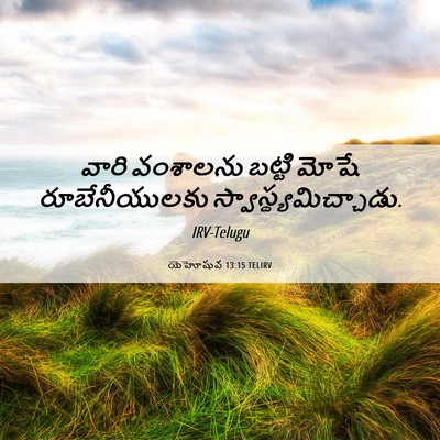 Picture 06 - యెహోషువ 13:15 TELIRV - వారి వంశాలను - Bible Verse Picture