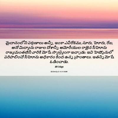 Picture 06 - యెహోషువ 13:21 TELIRV - మైదానంలోని - Bible Verse Picture