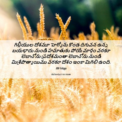 Picture 06 - యెహోషువ 13:5 TELIRV - గిబ్లీయుల దేశమూ - Bible Verse Picture