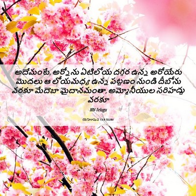 Picture 06 - యెహోషువ 13:9 TELIRV - అదేమంటే, అర్నోను - Bible Verse Picture