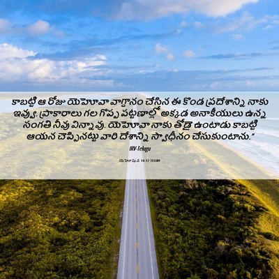 Picture 06 - యెహోషువ 14:12 TELIRV - కాబట్టి ఆ రోజు - Bible Verse Picture
