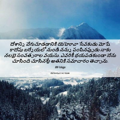 Picture 06 - యెహోషువ 14:7 TELIRV - దేశాన్ని - Bible Verse Picture
