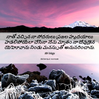 Picture 06 - యెహోషువ 14:8 TELIRV - నాతో వచ్చిన నా - Bible Verse Picture