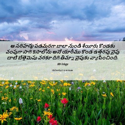 Picture 06 - యెహోషువ 15:10 TELIRV - ఆ సరిహద్దు పడమరగా - Bible Verse Picture