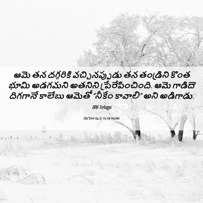 Picture 06 - యెహోషువ 15:18 TELIRV - ఆమె తన దగ్గరికి - Bible Verse Picture