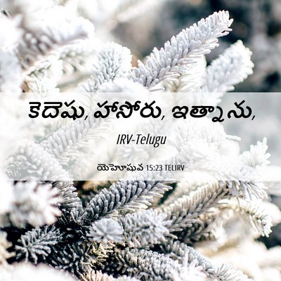 Picture 06 - యెహోషువ 15:23 TELIRV - కెదెషు, హాసోరు, - Bible Verse Picture