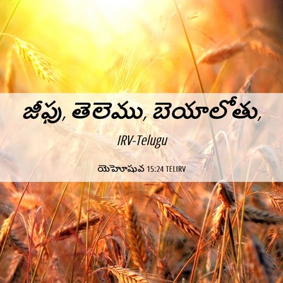 Picture 06 - యెహోషువ 15:24 TELIRV - జీఫు, తెలెము, - Bible Verse Picture