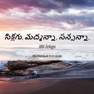 Picture 06 - యెహోషువ 15:31 TELIRV - సిక్లగు, మద్మన్నా, - Bible Verse Picture