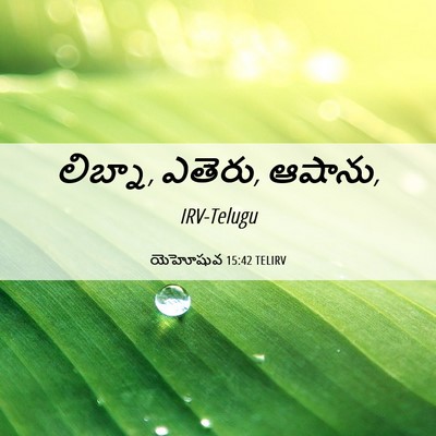 Picture 06 - యెహోషువ 15:42 TELIRV - లిబ్నా, ఎతెరు, - Bible Verse Picture