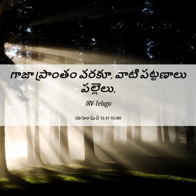 Picture 06 - యెహోషువ 15:47 TELIRV - గాజా ప్రాంతం వరకూ, - Bible Verse Picture