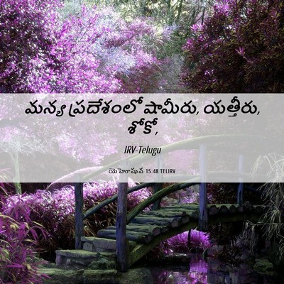 Picture 06 - యెహోషువ 15:48 TELIRV - మన్య ప్రదేశంలో - Bible Verse Picture