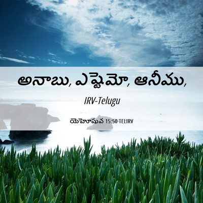Picture 06 - యెహోషువ 15:50 TELIRV - అనాబు, ఎష్టెమో, - Bible Verse Picture