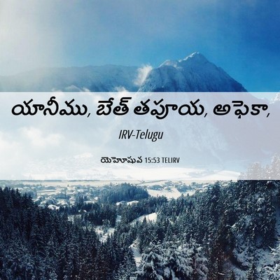 Picture 06 - యెహోషువ 15:53 TELIRV - యానీము, బేత్ తపూయ, - Bible Verse Picture