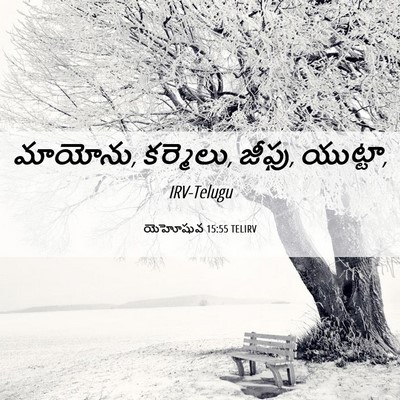 Picture 06 - యెహోషువ 15:55 TELIRV - మాయోను, కర్మెలు, - Bible Verse Picture
