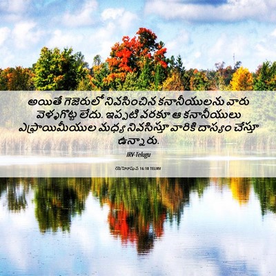 Picture 06 - యెహోషువ 16:10 TELIRV - అయితే గెజెరులో - Bible Verse Picture