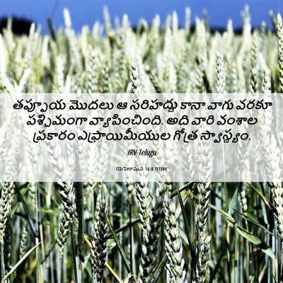 Picture 06 - యెహోషువ 16:8 TELIRV - తప్పూయ మొదలు ఆ - Bible Verse Picture