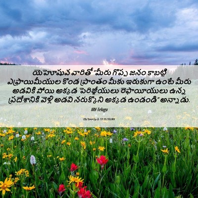 Picture 06 - యెహోషువ 17:15 TELIRV - యెహోషువ వారితో - Bible Verse Picture