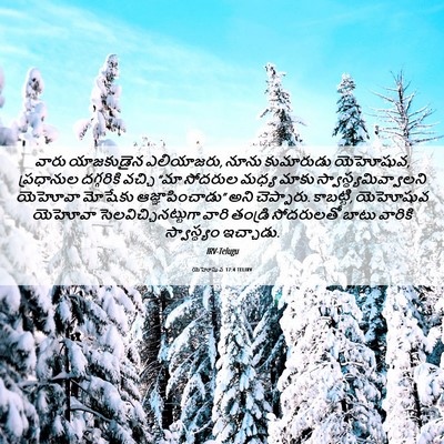Picture 06 - యెహోషువ 17:4 TELIRV - వారు యాజకుడైన - Bible Verse Picture