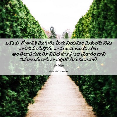 Picture 06 - యెహోషువ 18:4 TELIRV - ఒక్కొక్క - Bible Verse Picture