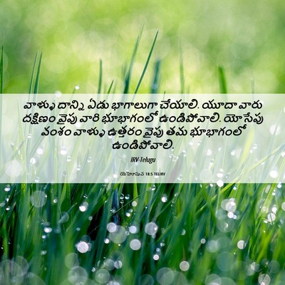 Picture 06 - యెహోషువ 18:5 TELIRV - వాళ్ళు దాన్ని ఏడు - Bible Verse Picture
