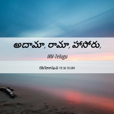 Picture 06 - యెహోషువ 19:36 TELIRV - అదామా, రామా, - Bible Verse Picture