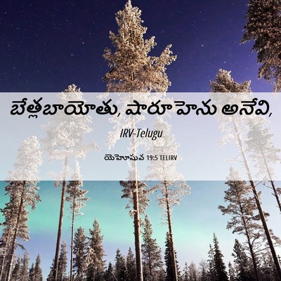 Picture 06 - యెహోషువ 19:5 TELIRV - బేత్లబాయోతు, - Bible Verse Picture