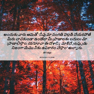 Picture 06 - యెహోషువ 2:14 TELIRV - అందుకు వారు ఆమెతో - Bible Verse Picture