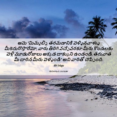 Picture 06 - యెహోషువ 2:16 TELIRV - ఆమె “మిమ్మల్ని - Bible Verse Picture