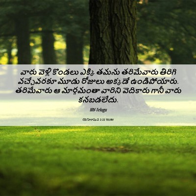Picture 06 - యెహోషువ 2:22 TELIRV - వారు వెళ్లి - Bible Verse Picture