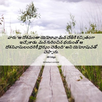 Picture 06 - యెహోషువ 2:24 TELIRV - వారు “ఆ దేశమంతా - Bible Verse Picture