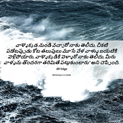 Picture 06 - యెహోషువ 2:5 TELIRV - వాళ్ళెక్కడ నుండి - Bible Verse Picture