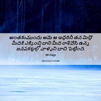 Picture 06 - యెహోషువ 2:6 TELIRV - అంతకుముందు ఆమె ఆ - Bible Verse Picture