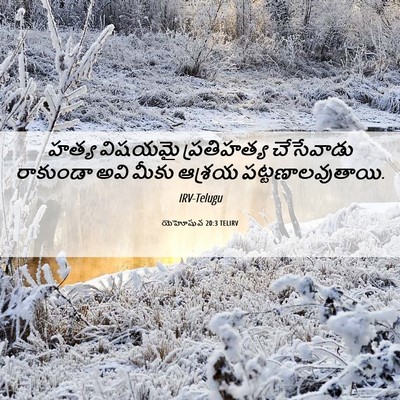 Picture 06 - యెహోషువ 20:3 TELIRV - హత్య విషయమై - Bible Verse Picture