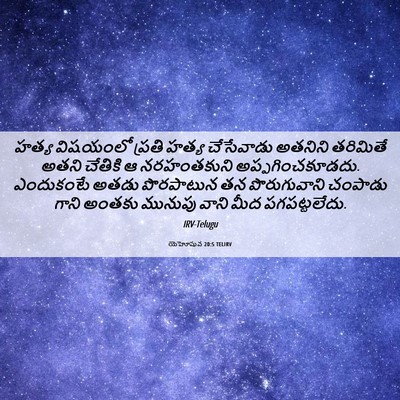 Picture 06 - యెహోషువ 20:5 TELIRV - హత్య విషయంలో - Bible Verse Picture