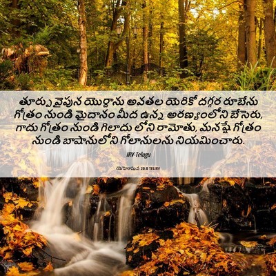 Picture 06 - యెహోషువ 20:8 TELIRV - తూర్పు వైపున - Bible Verse Picture