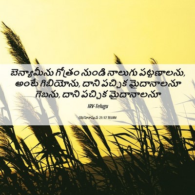 Picture 06 - యెహోషువ 21:17 TELIRV - బెన్యామీను గోత్రం - Bible Verse Picture