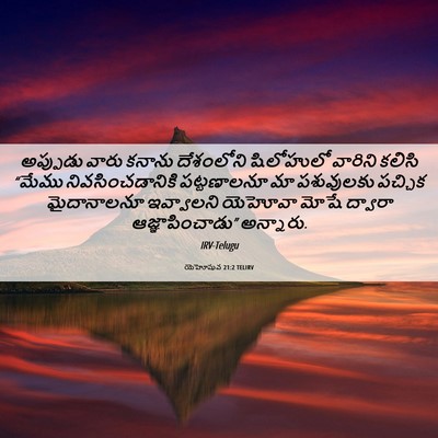Picture 06 - యెహోషువ 21:2 TELIRV - అప్పుడు వారు - Bible Verse Picture
